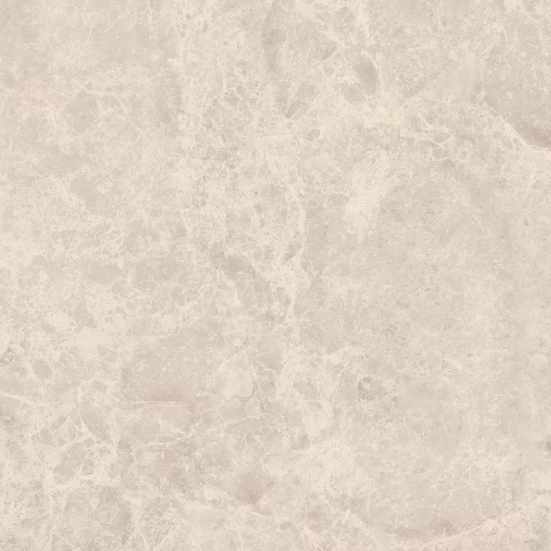ERA DELICATE BEIGE 60X60_03
