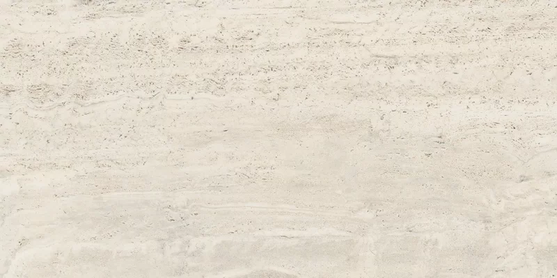 NAVONA BONE VEIN 60X120_09