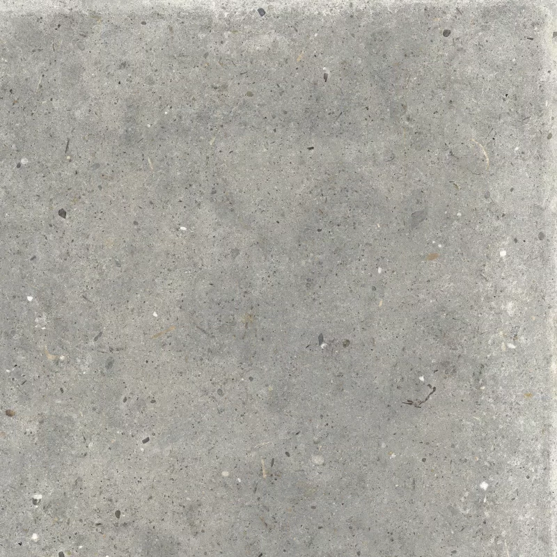 ANIMA GRIGIO 60X60_11