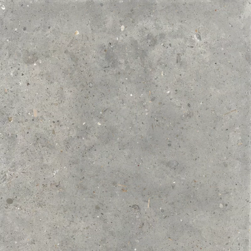 ANIMA GRIGIO 60X60_09