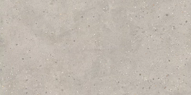 COSMOPOLITAN VIBRANT GREIGE 60X120_16