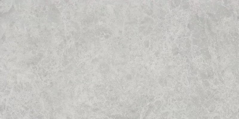 ERA DELICATE ASH 60X120_11