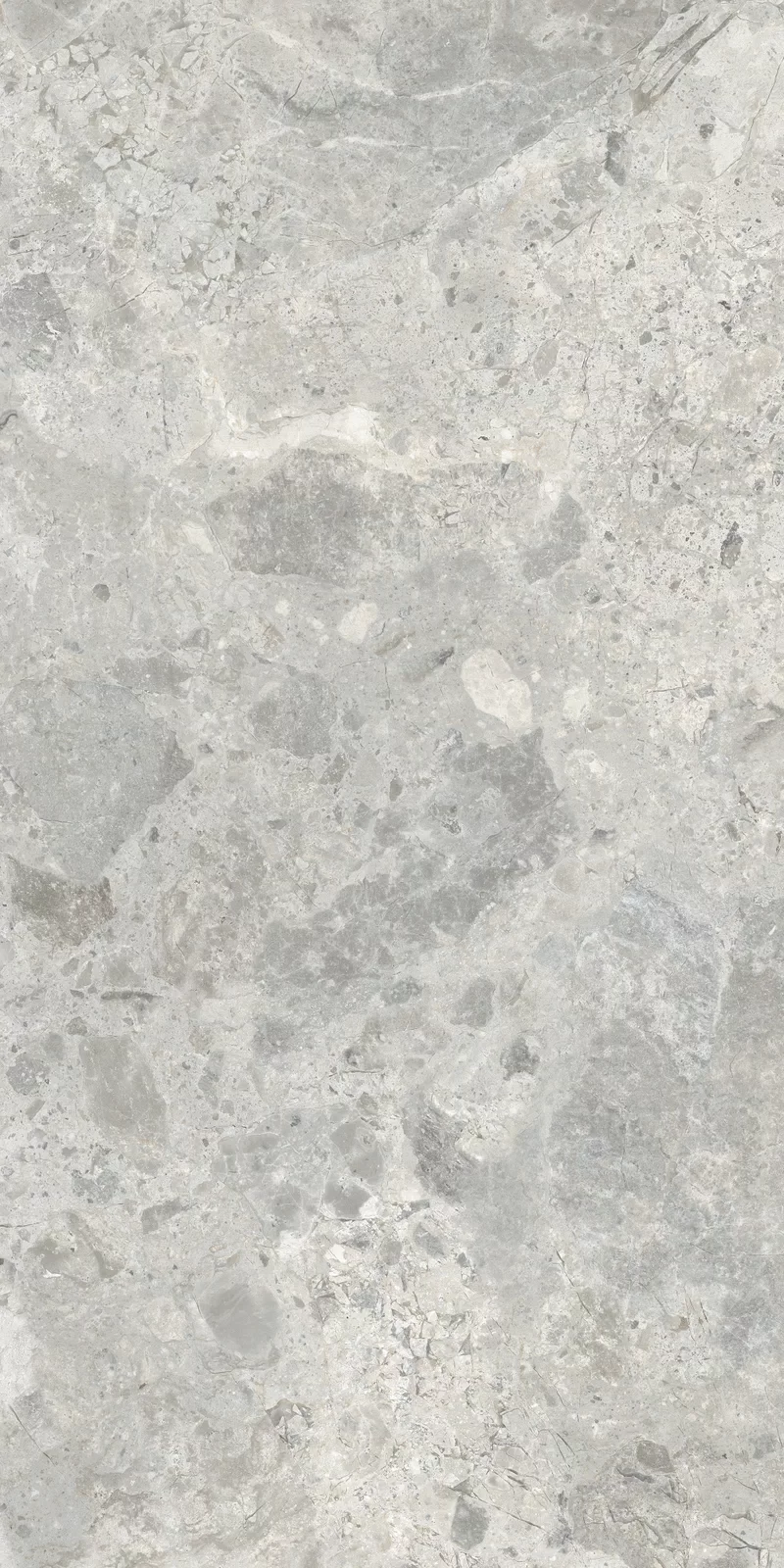 OUT.20 ERA BLOOMING ASH 60X120 _03