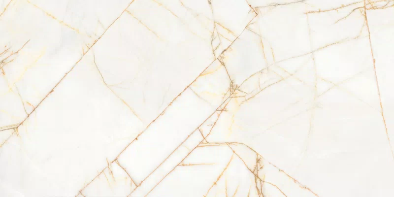 SUPREME HEDONISM GOLDEN SPIDER 60X120_12