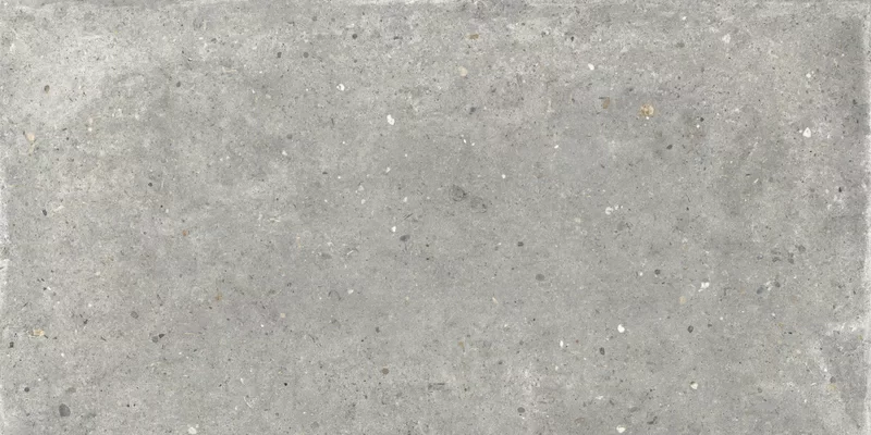 ANIMA GRIGIO 60X120_07