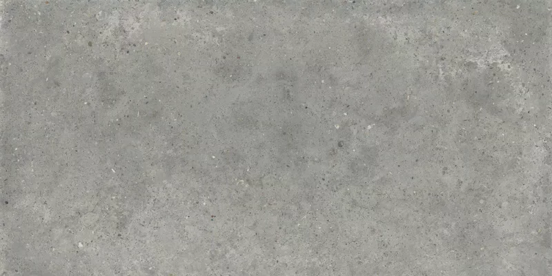 POETRY STONE PIRENEI GREY 60X120_06