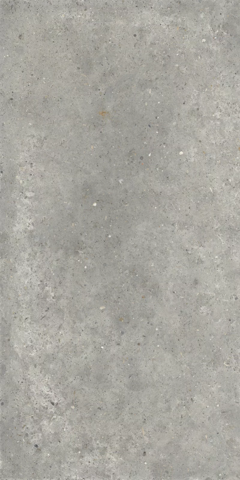ANIMA GRIGIO 60X120_11