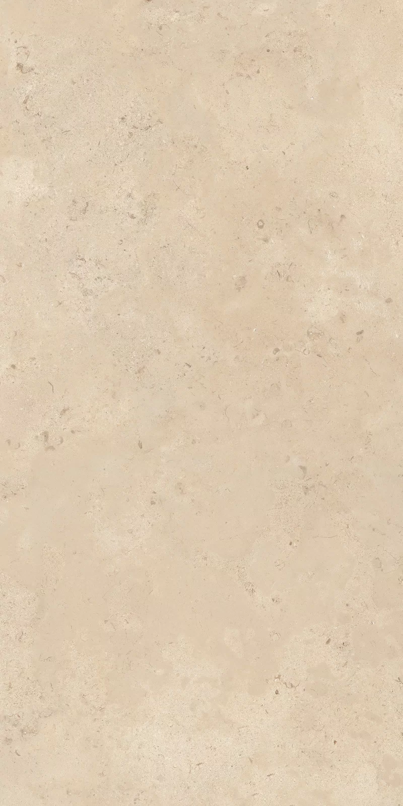 OUT.20 CAMARGUE BEIGE 60X120_16
