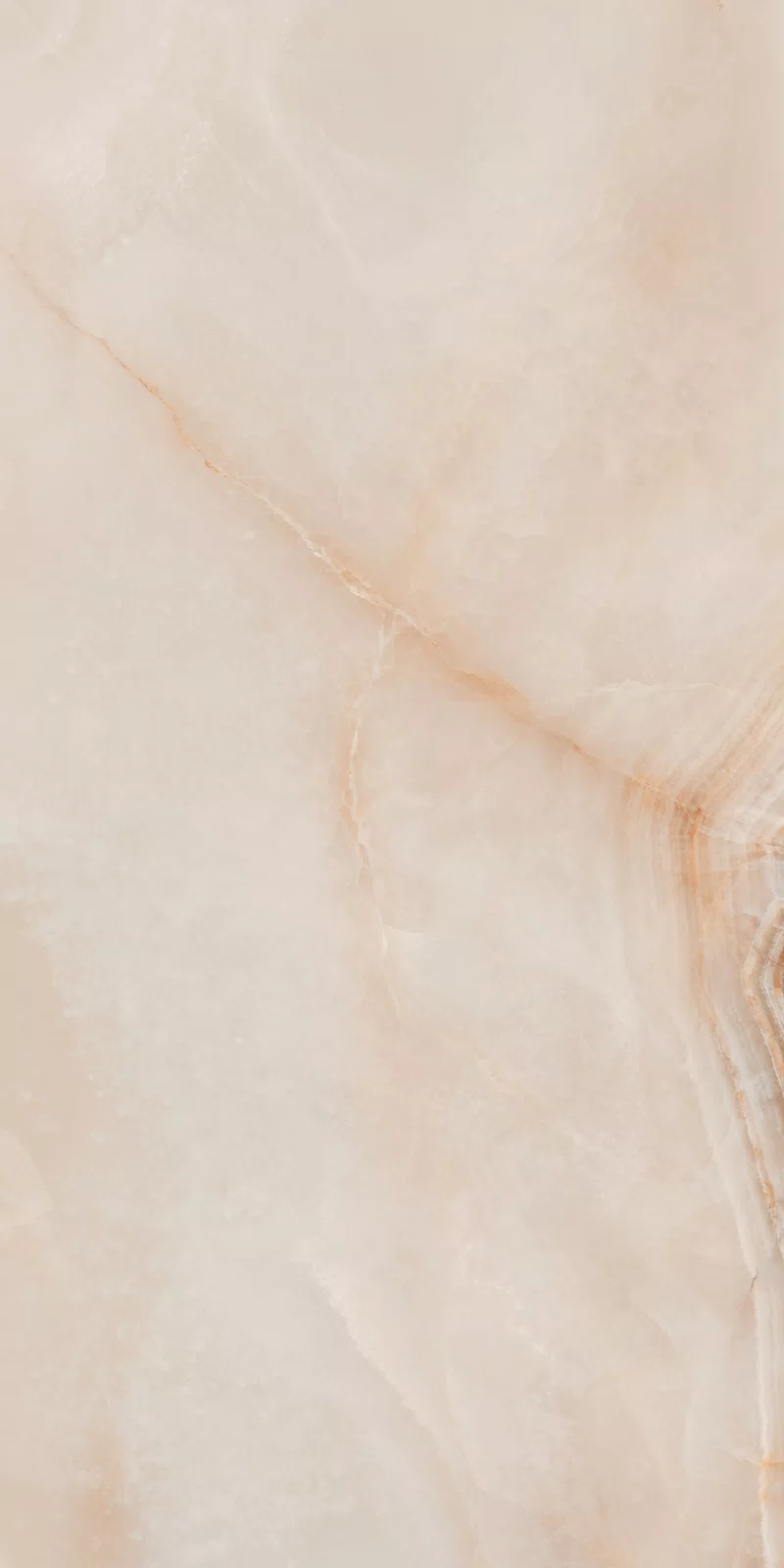 ETEREA POWDER 60x120 LUX_18