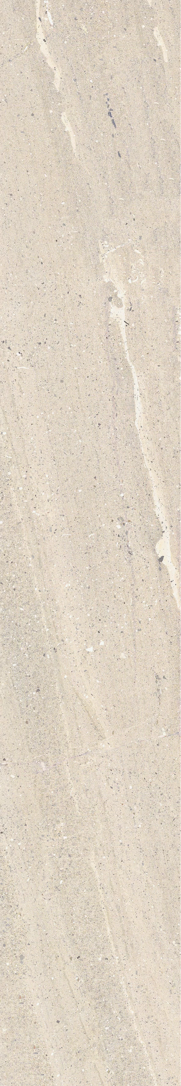 ROCKIN DESERT 20X120_22
