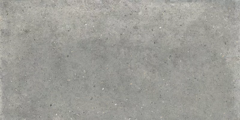 POETRY STONE PIRENEI GREY 60X120_04