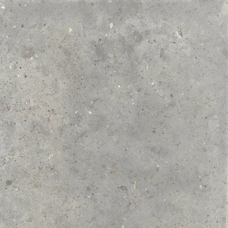 ANIMA GRIGIO 60X60_09
