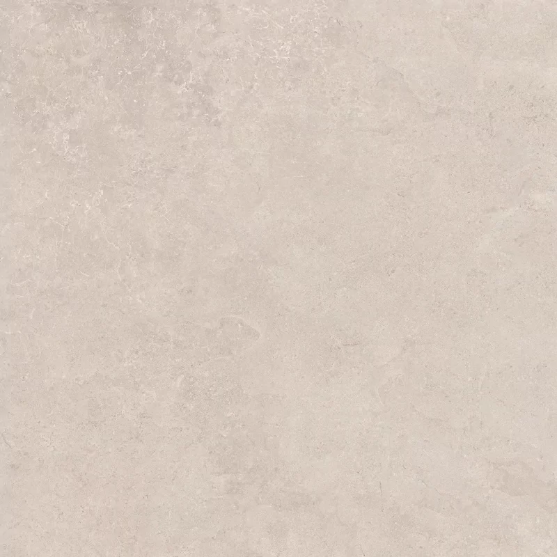 MIDI NATURE POUDRE 60x60_13