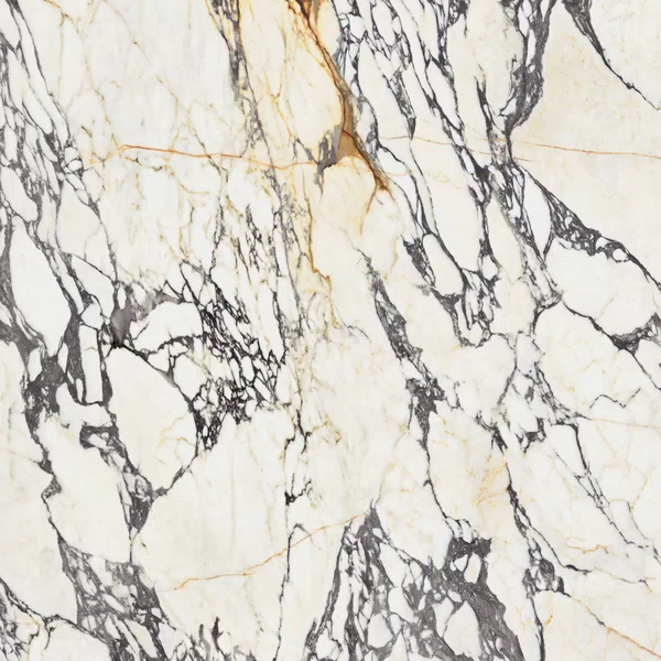 Carreau effet marbre Blanc de la collection Supreme Treasure par Flaviker, format 120x120, finition Lux, bord Rettificato.