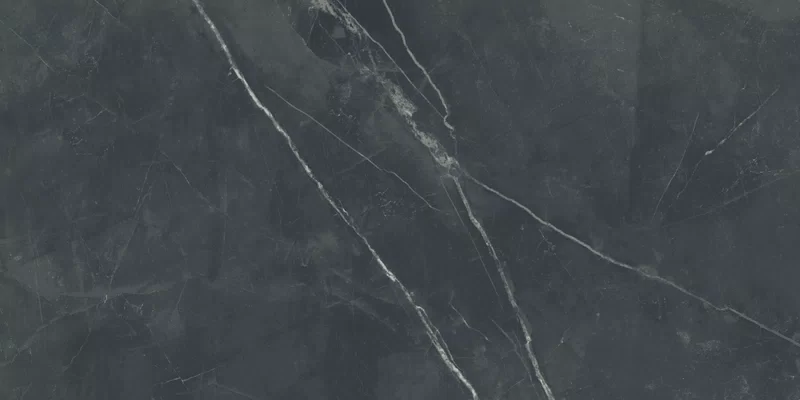 SUPREME MEMORIES DARK STONE 60X120 _10