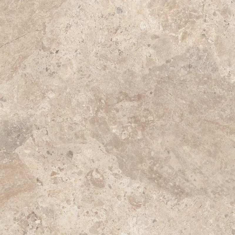 OUT.20 ERA BLOOMING TAUPE 80X80 _05