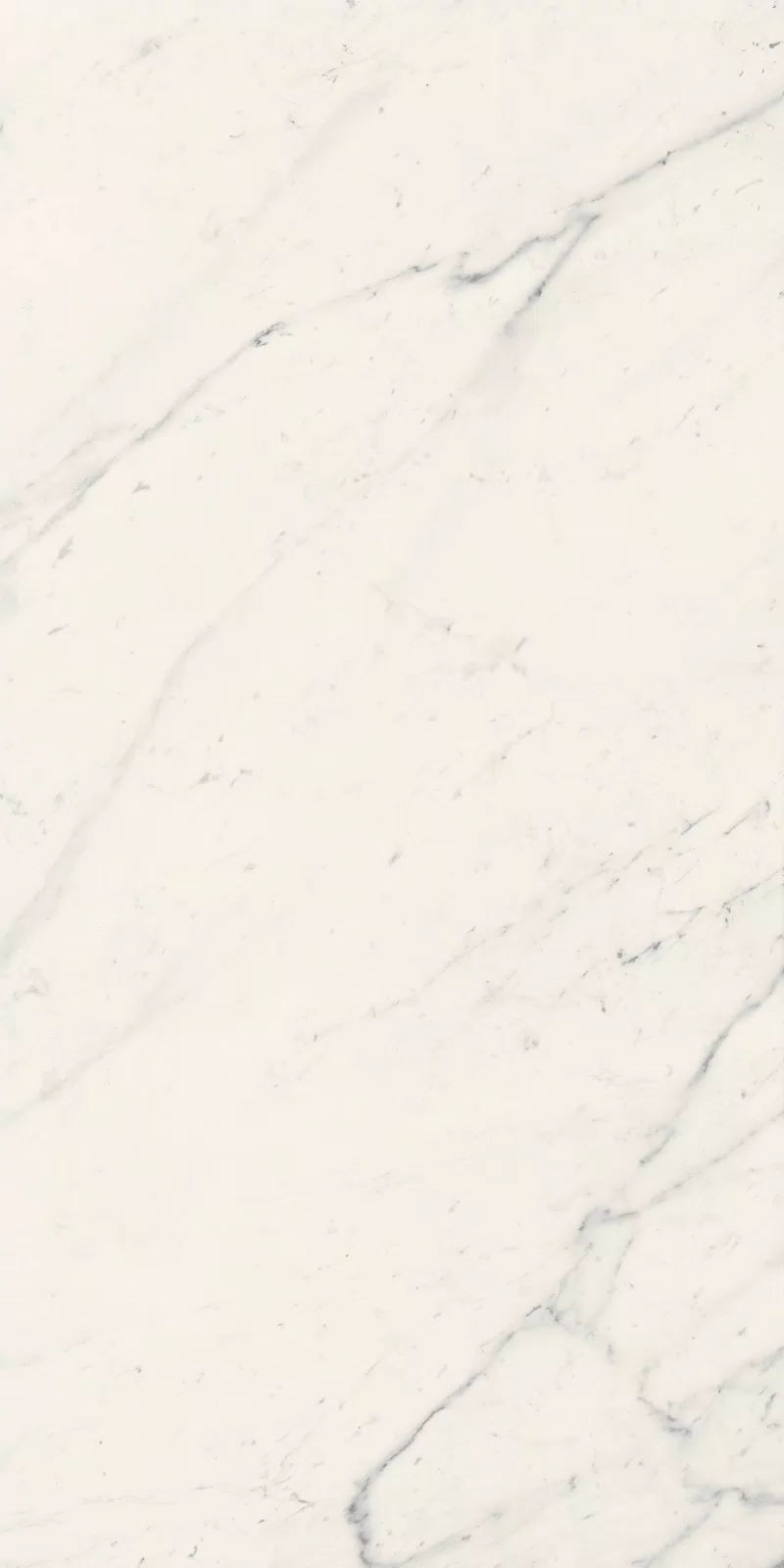 LA MARMOTECA_SAHARA WHITE_60X120_5