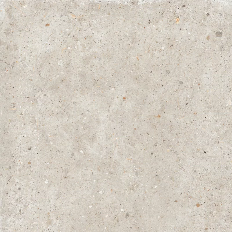 ANIMA BEIGE 60X60_08