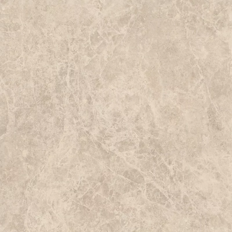 ERA DELICATE TAUPE 80X80_02