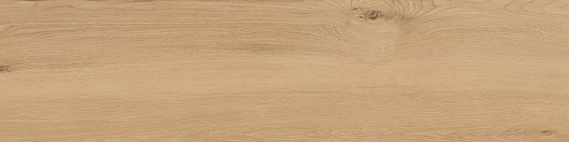 FOUR SEASONS HONEY 30X120_08