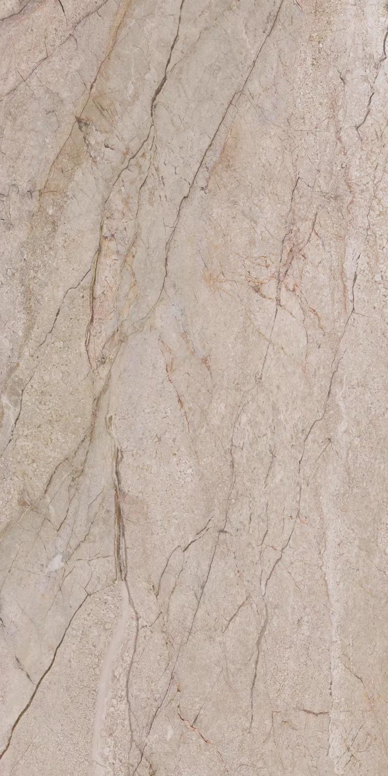 NOBILE SAND FLOWER 60X120_5