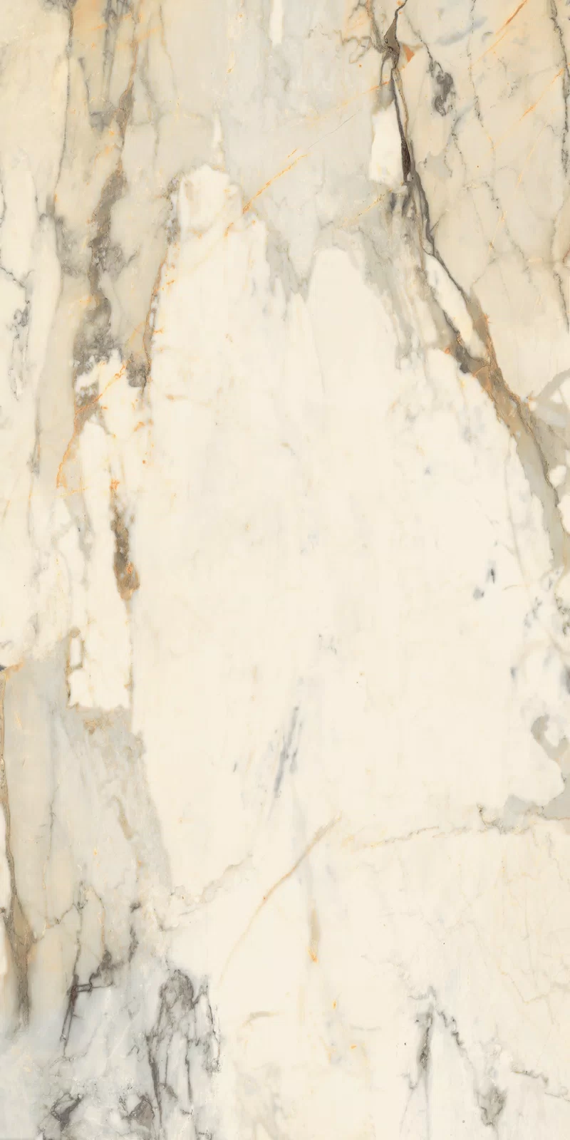 LA MARMOTECA_ANTIQUE BROWN_60x120_16