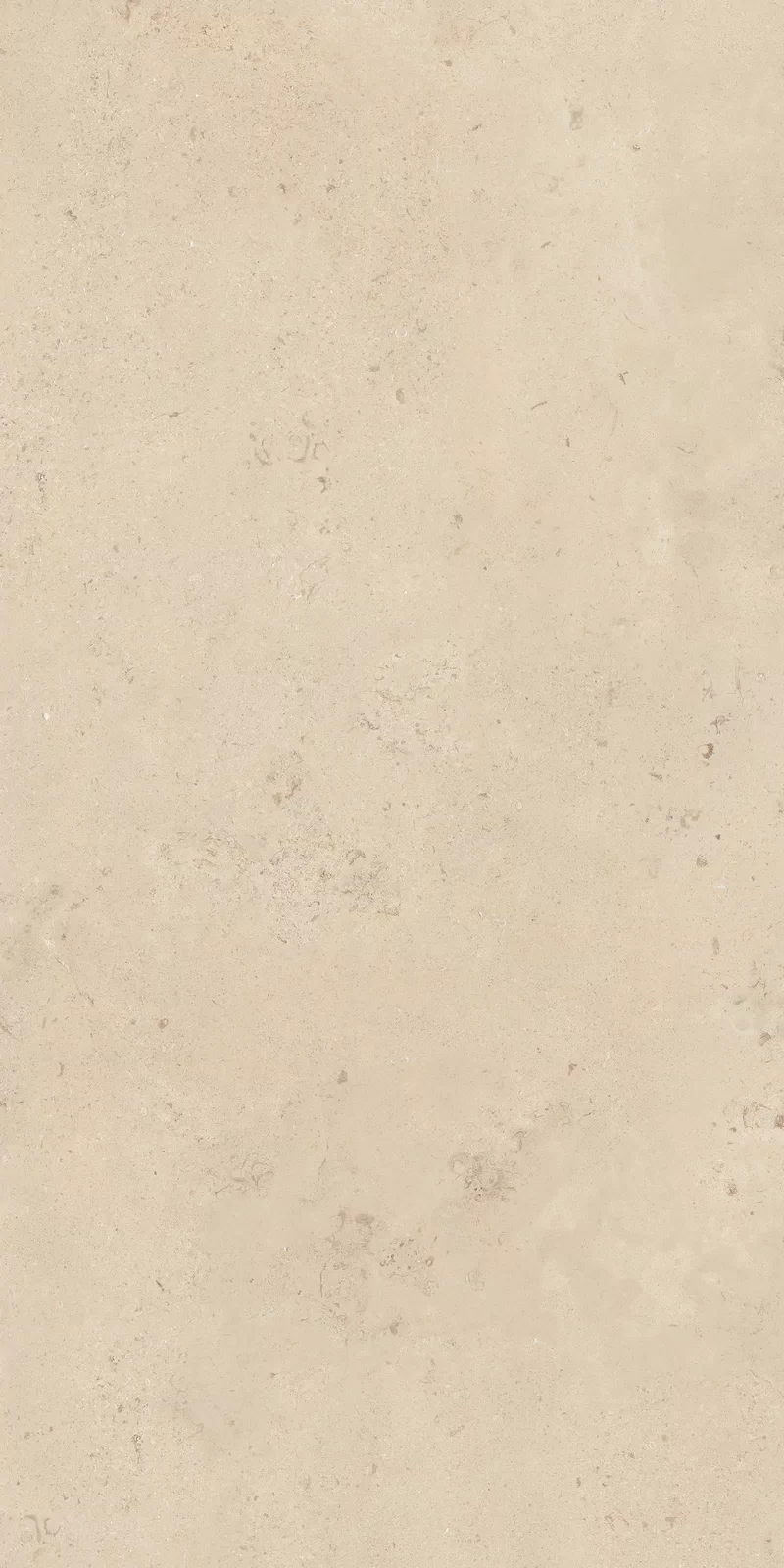 X20 CAMARGUE BEIGE 60X120_05