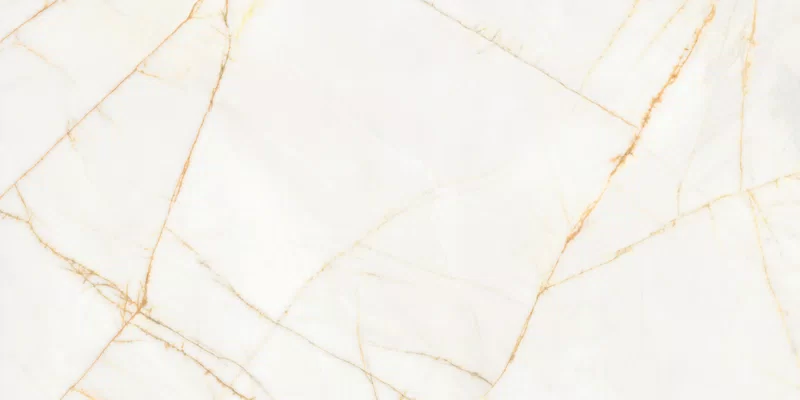 SUPREME HEDONISM GOLDEN SPIDER 60X120_02