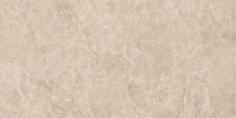 ERA DELICATE TAUPE 60X120_16