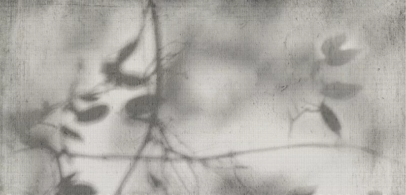 60X120 · Naturale